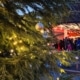 Winter Wonderland 3 IMG 3402